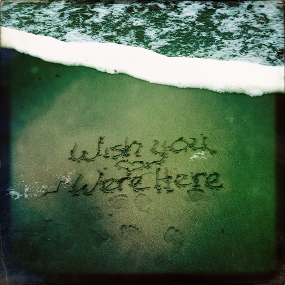 Meet your Posher, Brittany - Picture 1 of 1